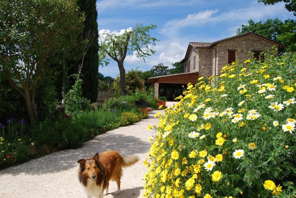 Casale Il Cerqueto Bed & Breakfast San Severino Marche Exterior photo