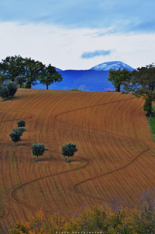Casale Il Cerqueto Bed & Breakfast San Severino Marche Exterior photo