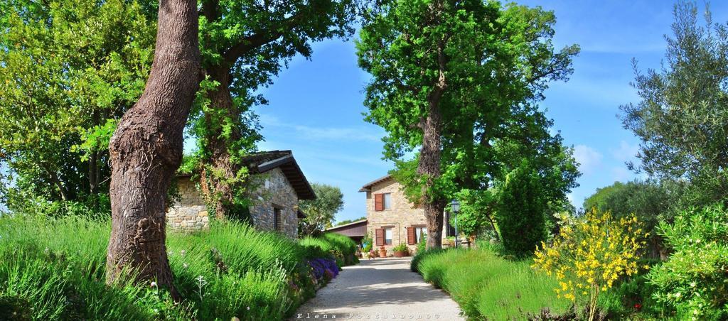 Casale Il Cerqueto Bed & Breakfast San Severino Marche Exterior photo